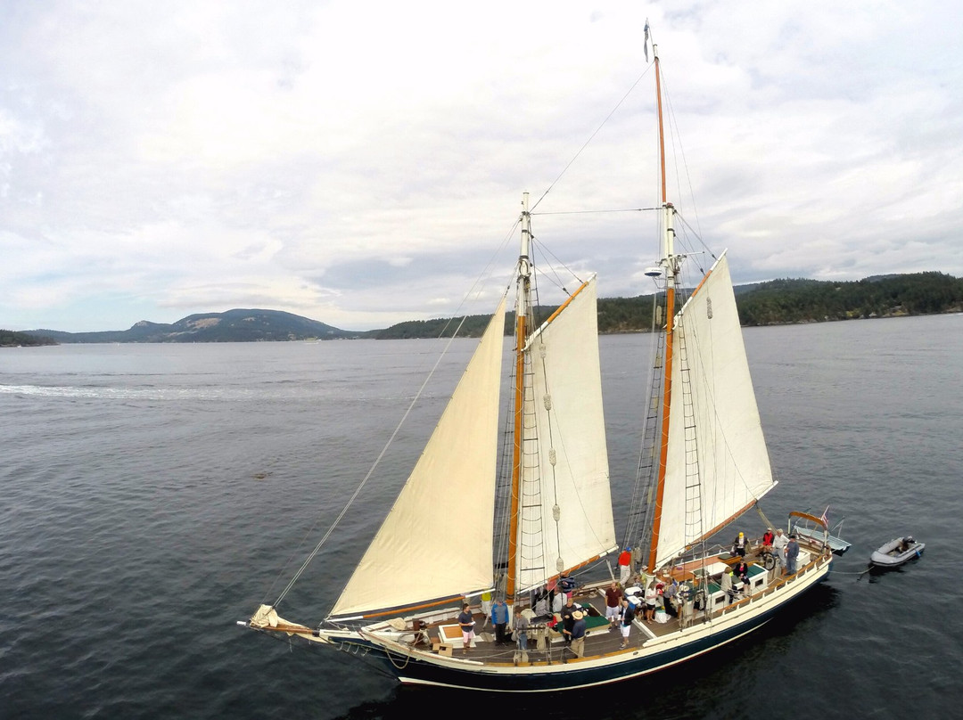 Schooners North景点图片