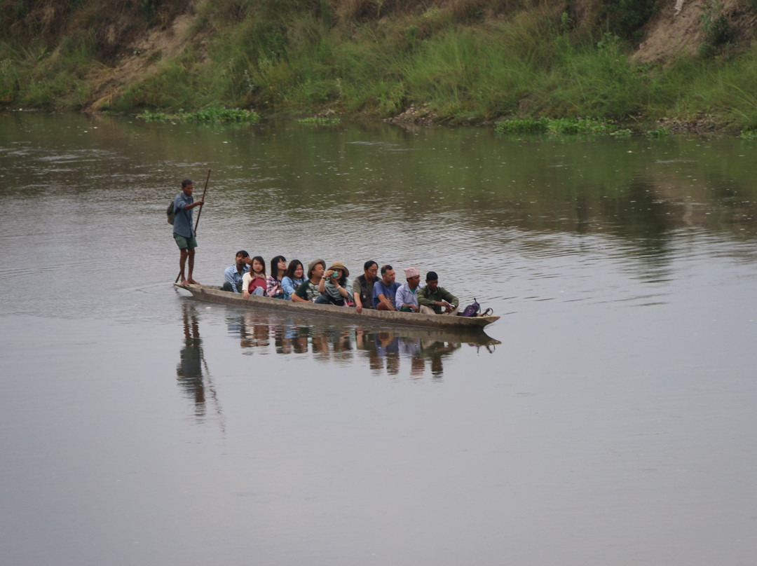 Jungle Safari Chitwan-苏拉哈必去景点