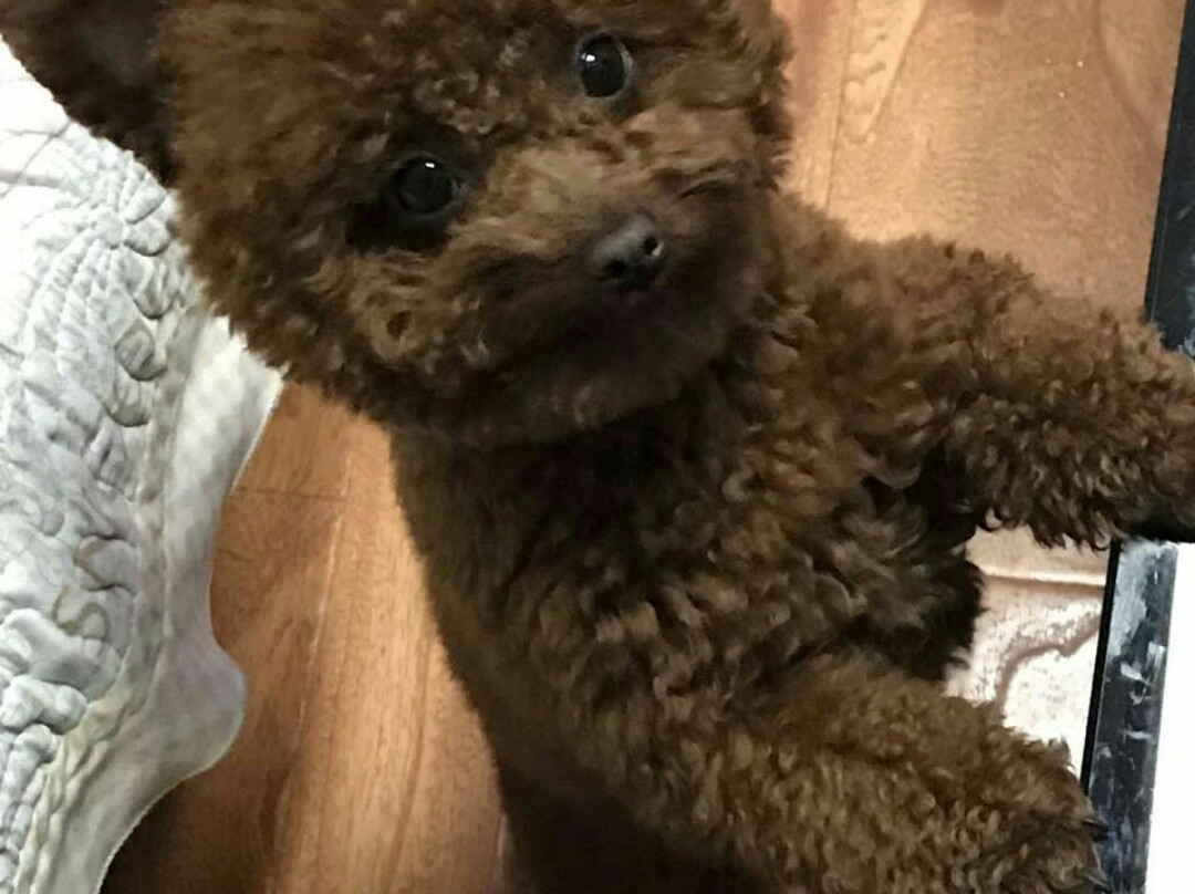 寿光蔬菜示范园-寿光市必去景点