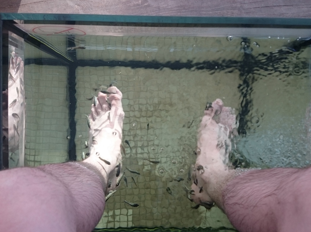 Fish Spa-乌马格必去景点