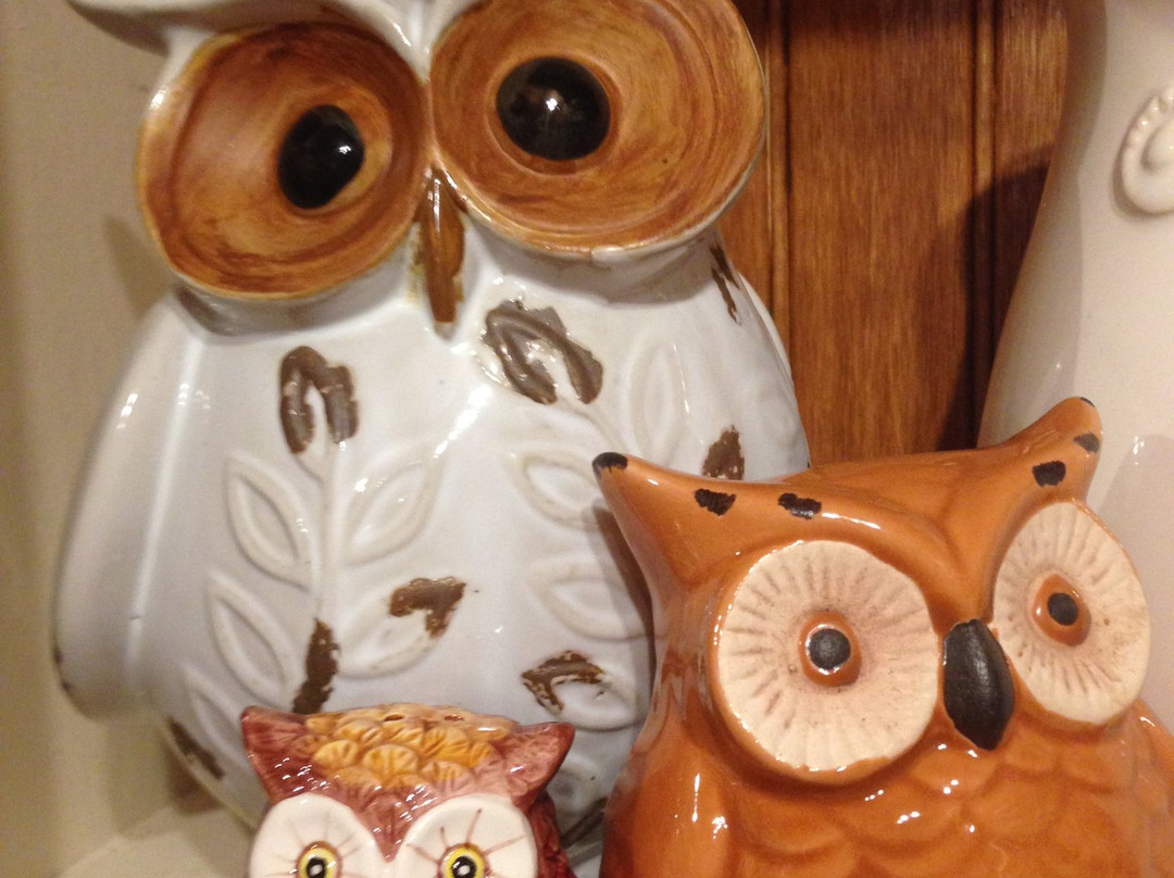 Wildewood-海伦必去景点