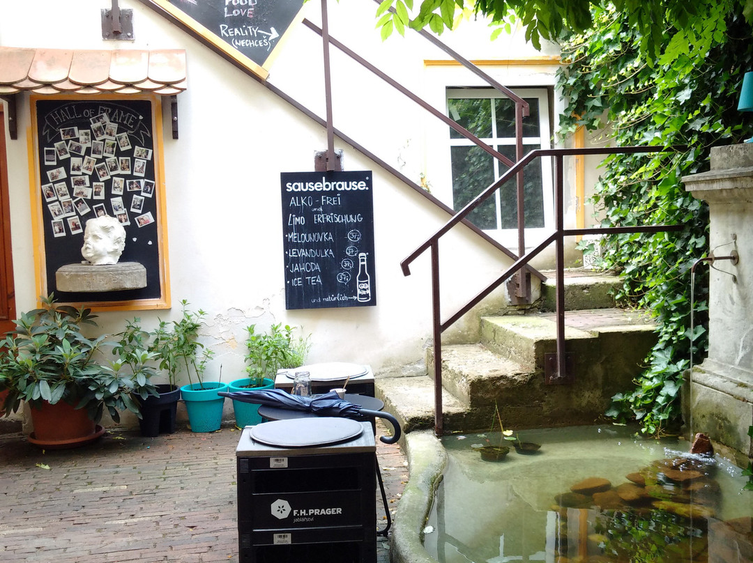 Bilina餐馆和美食-Café Schönau