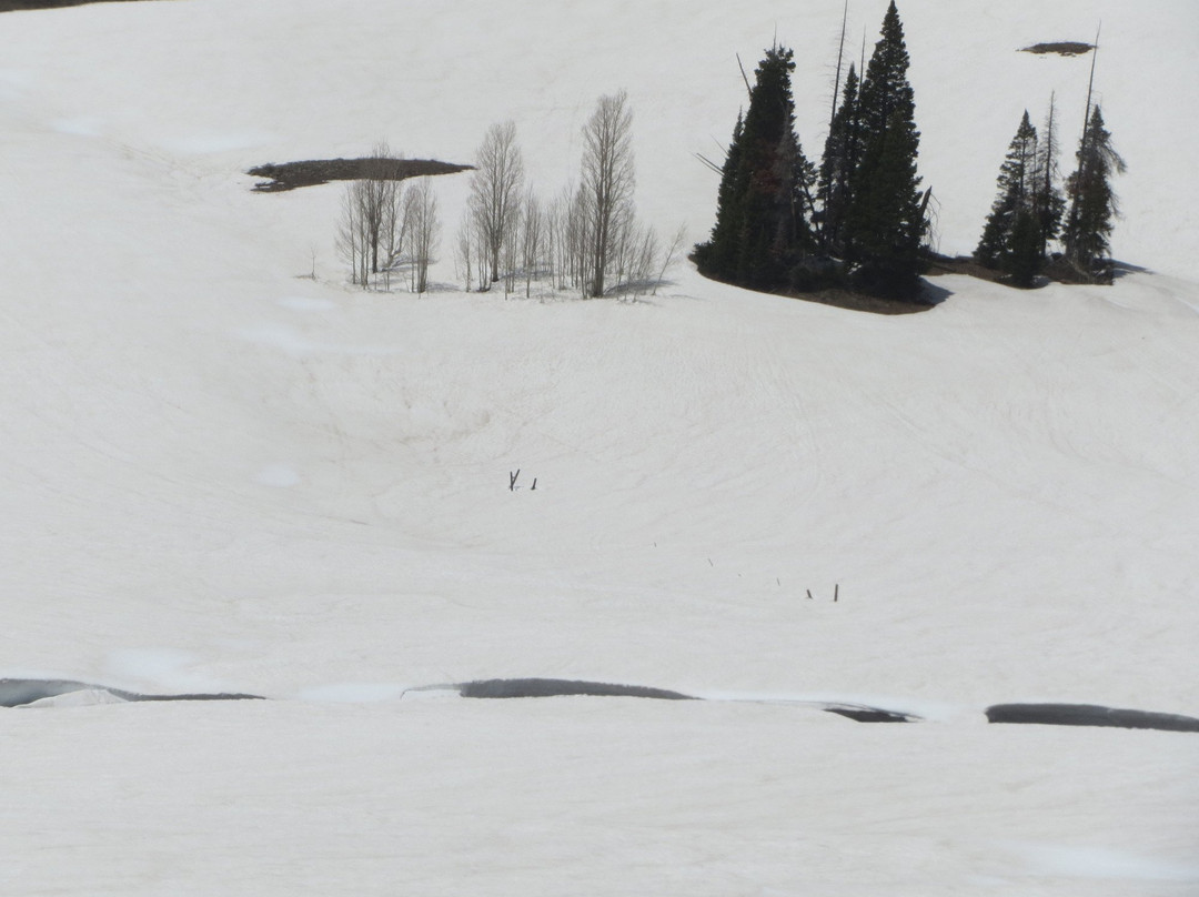 Manti-Lasal National Forest-Huntington必去景点