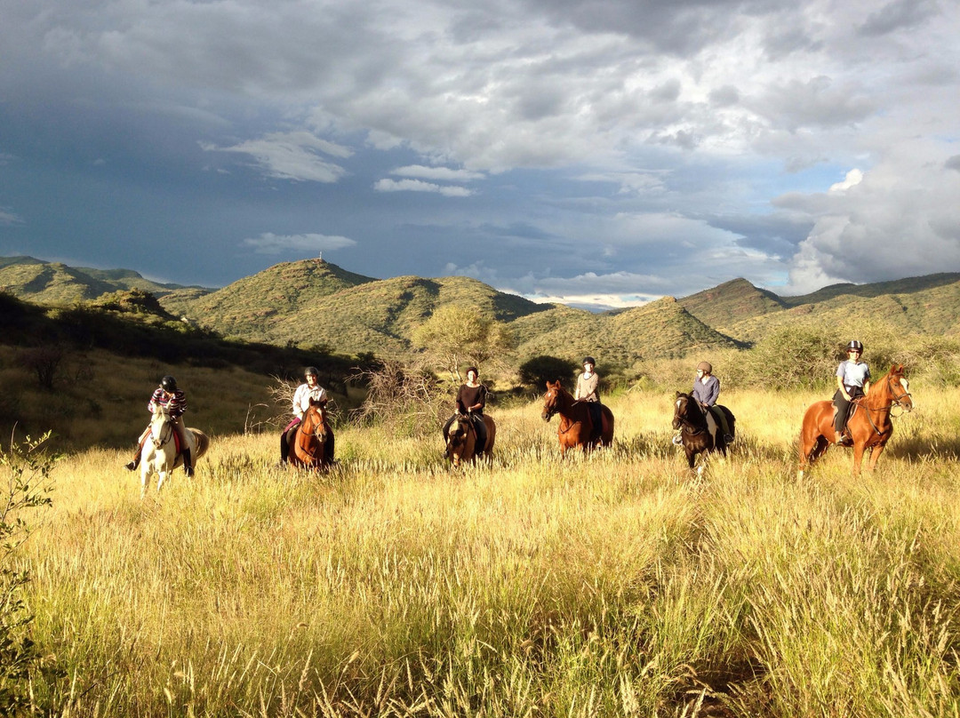 Equitrails Namibia-温德和克必去景点