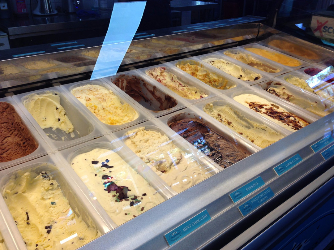 Xcape at the Cape Fun Park-戴士柏必去景点