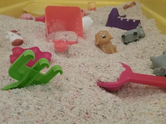 Kids Play Gym-布卢明顿必去景点