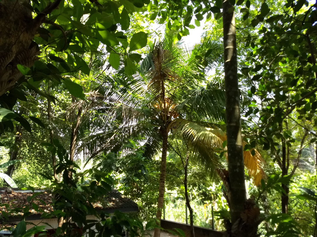 Highland Spice Garden-Matale必去景点