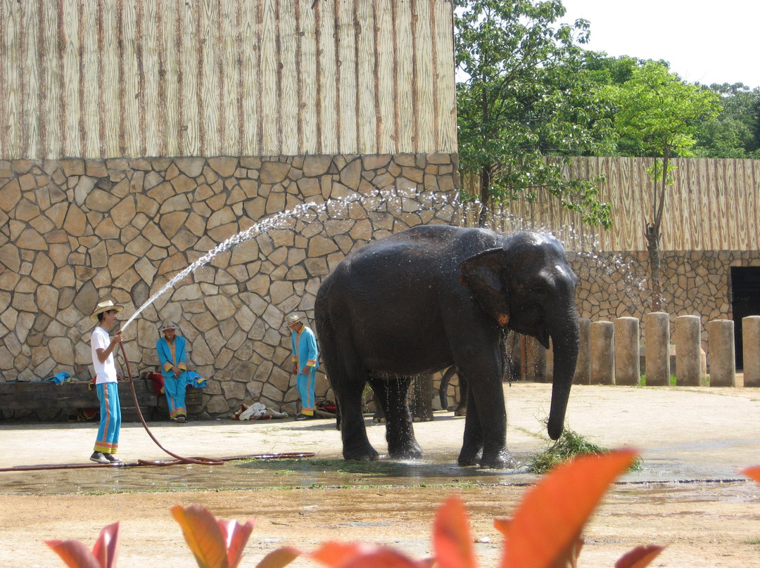 长沙生态动物园-长沙市必去景点