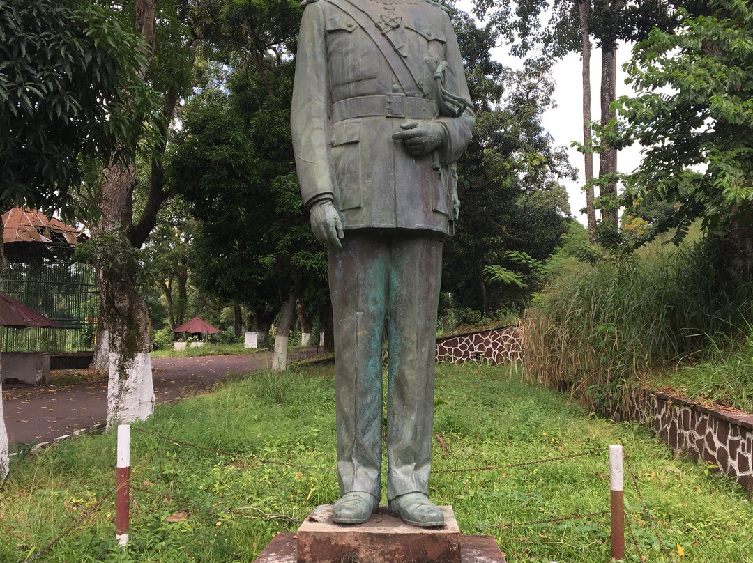 Statue Albert 1er景点图片