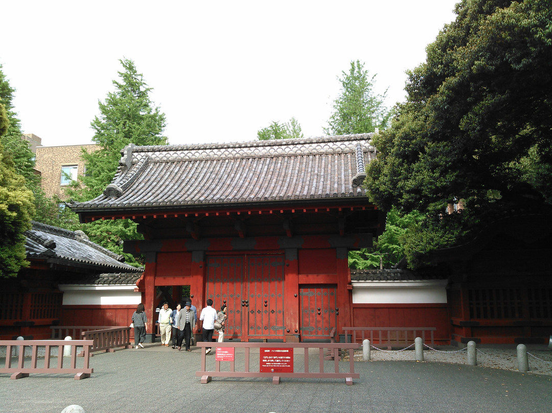 东京大学景点图片