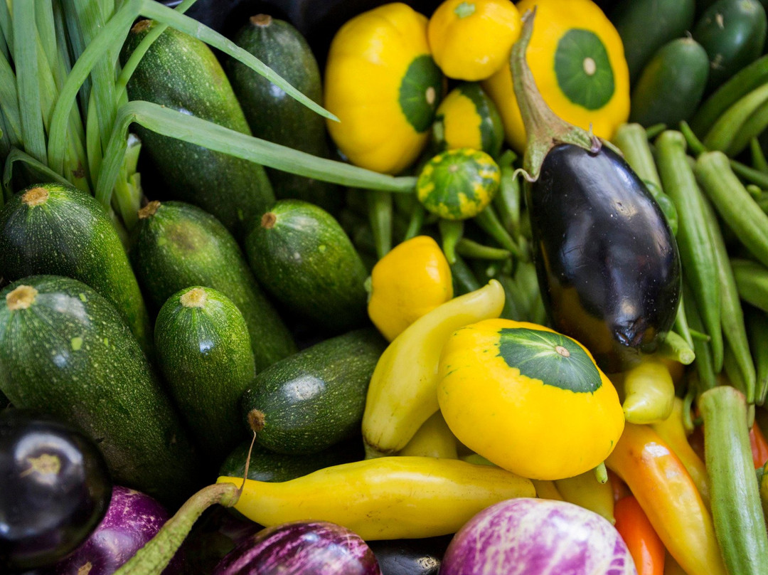 Brevard County Farmer's Market景点图片