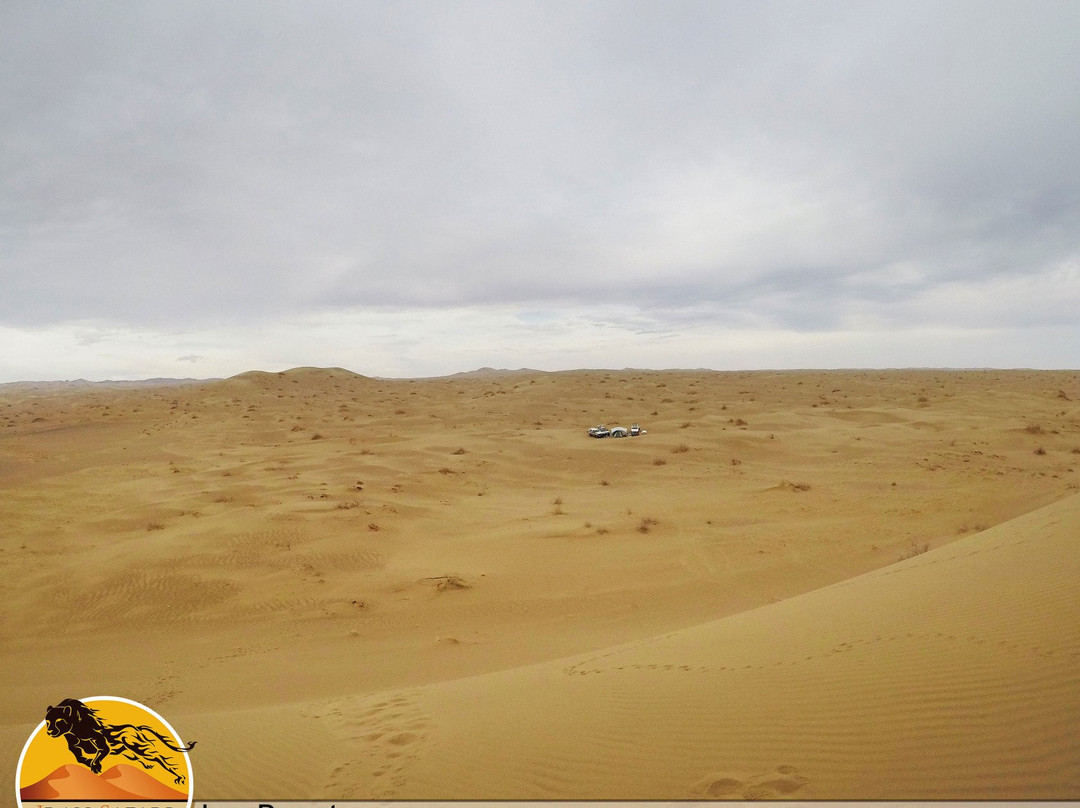 Iran Safari Tour景点图片