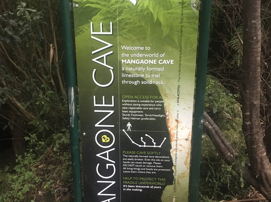 Mangaone Caves Track-Wairoa必去景点