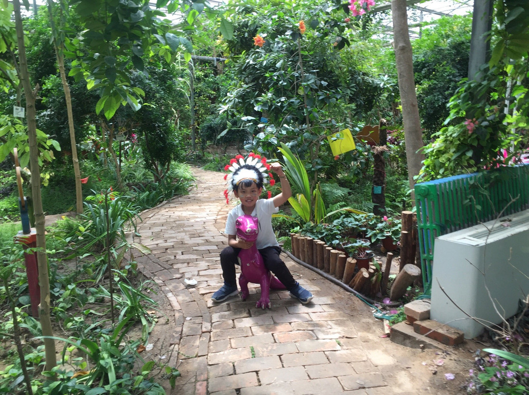 呀路古热带植物园-北京市必去景点