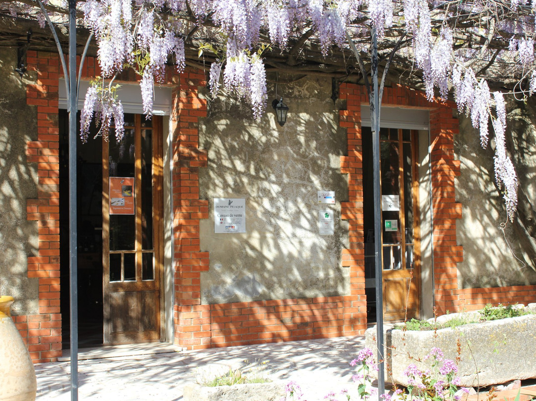 Domaine Pélaquié-Saint-Victor-la-Coste必去景点