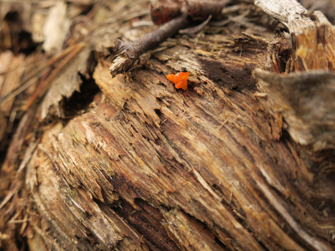 La Salle Lake State Recreation Area-Solway必去景点