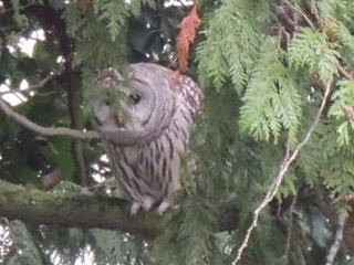 Birch Bay State Park-Birch Bay必去景点
