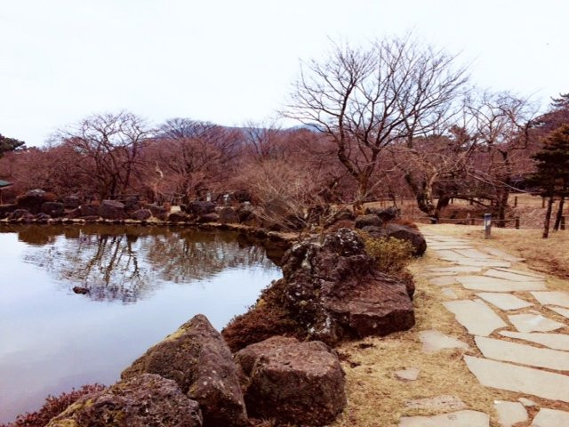 济州寺水自然休养林 景点图片