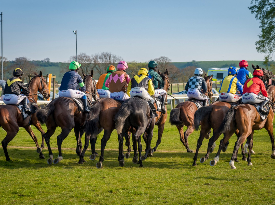 Plumpton Racecourse景点图片