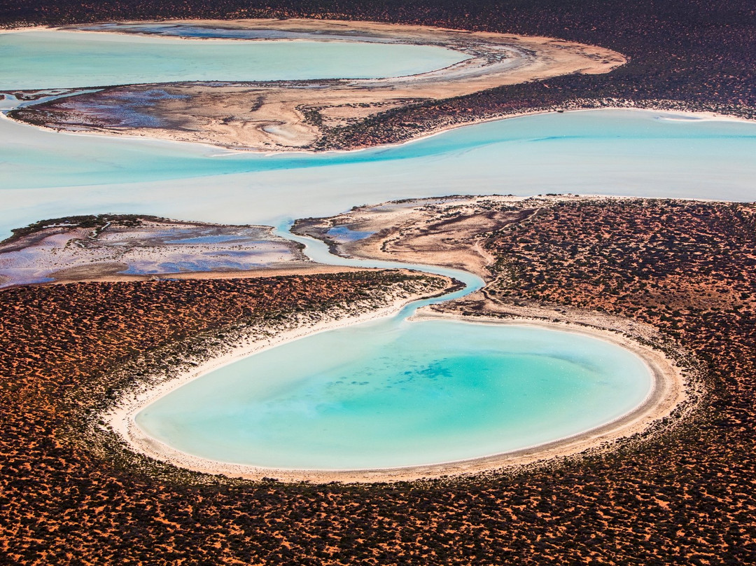 Shark Bay Aviation-德纳姆必去景点