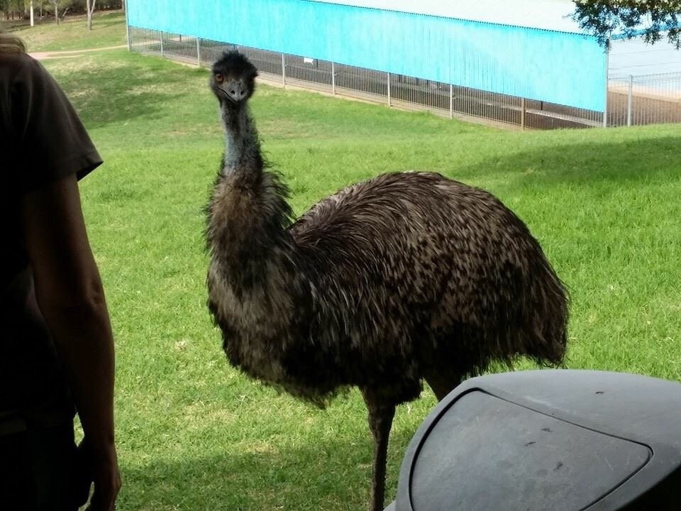 Lake Burrendong State Park-Mumbil必去景点