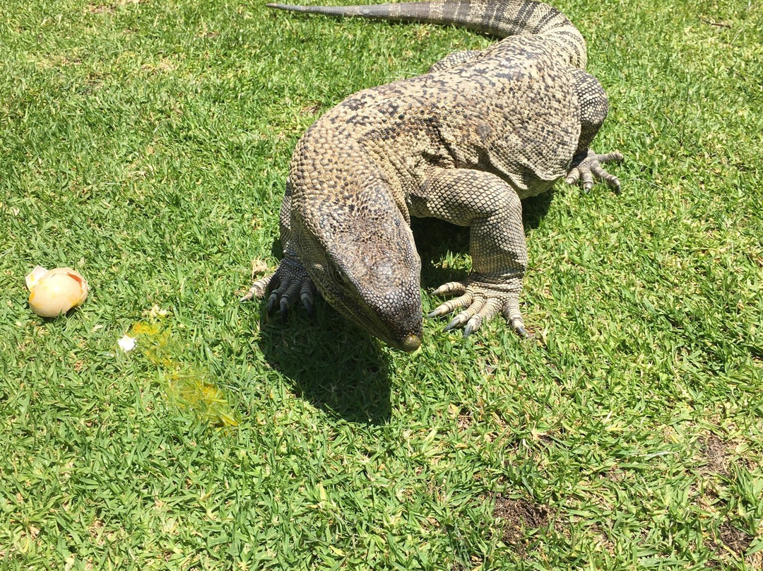 Snake Park-斯瓦科普蒙德必去景点
