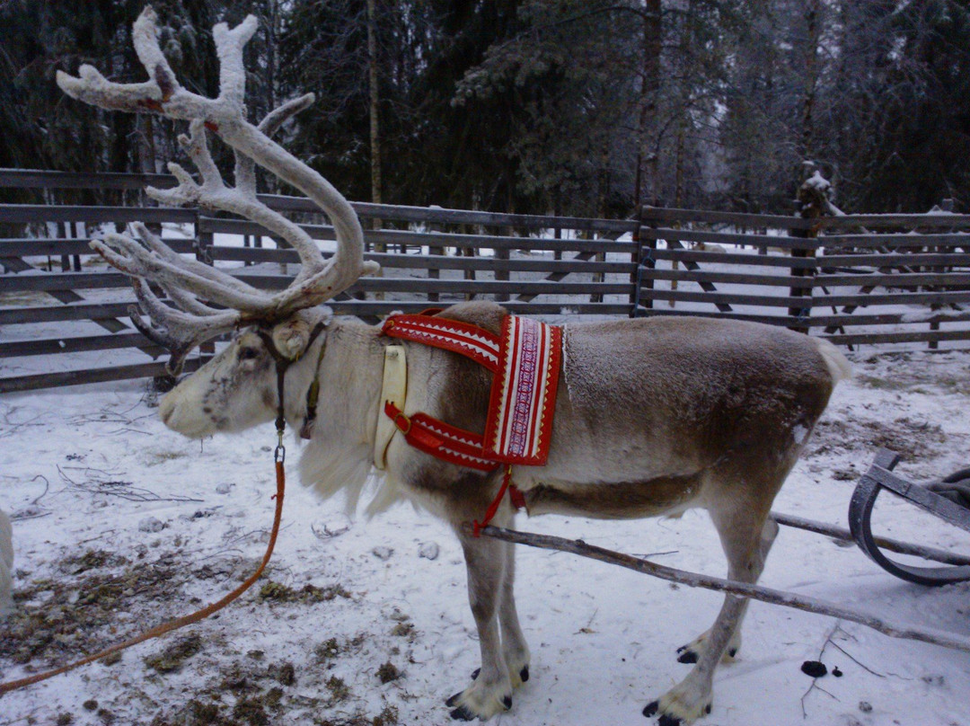 Off-Piste Adventures-Kemijarvi必去景点