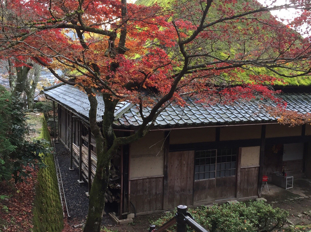 Kakyo Park-越前市必去景点