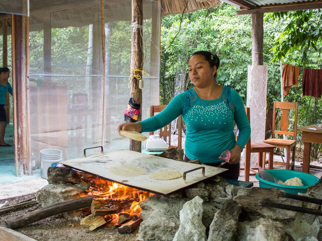 La Raíz del Futuro-卡拉克穆尔必去景点