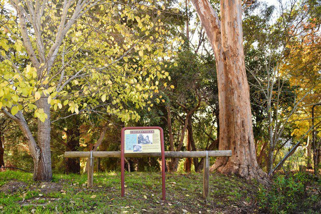 Adelaide Hills Tourist Drive 51-Campbelltown必去景点