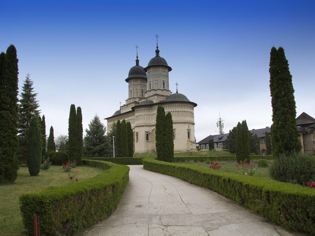 Cetăţuia Monastery (Mănăstirea Cetățuia)景点图片