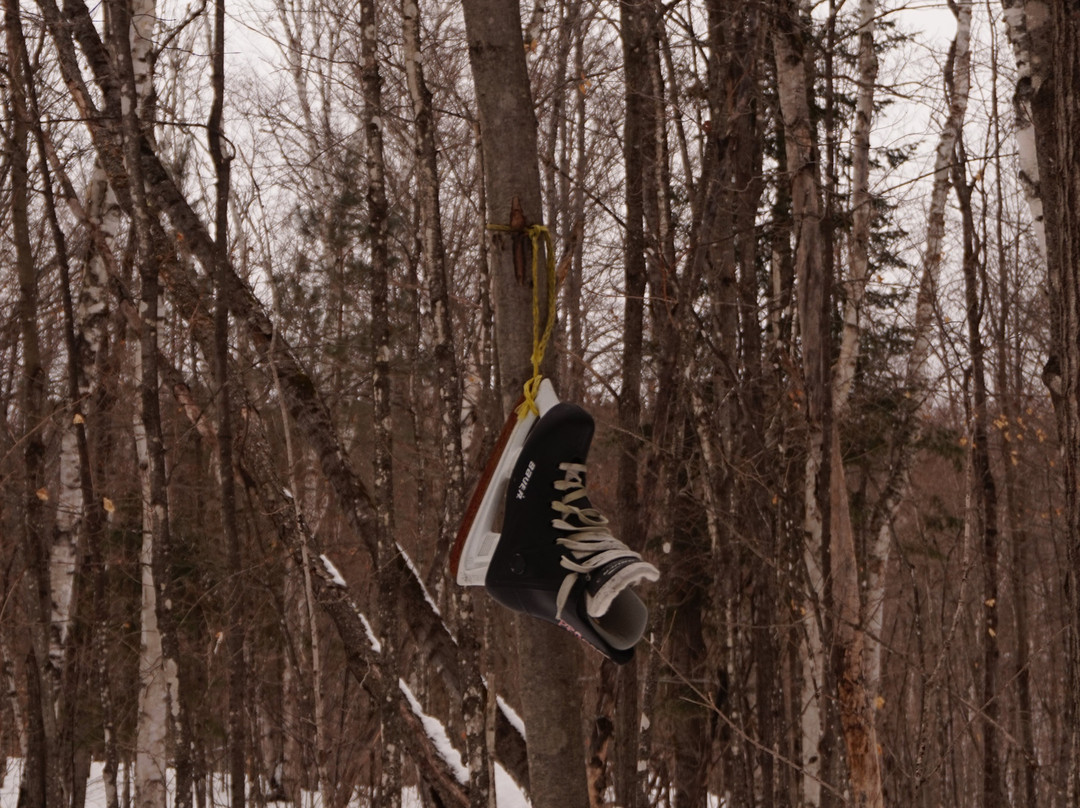 Auberge Couleurs de France主图