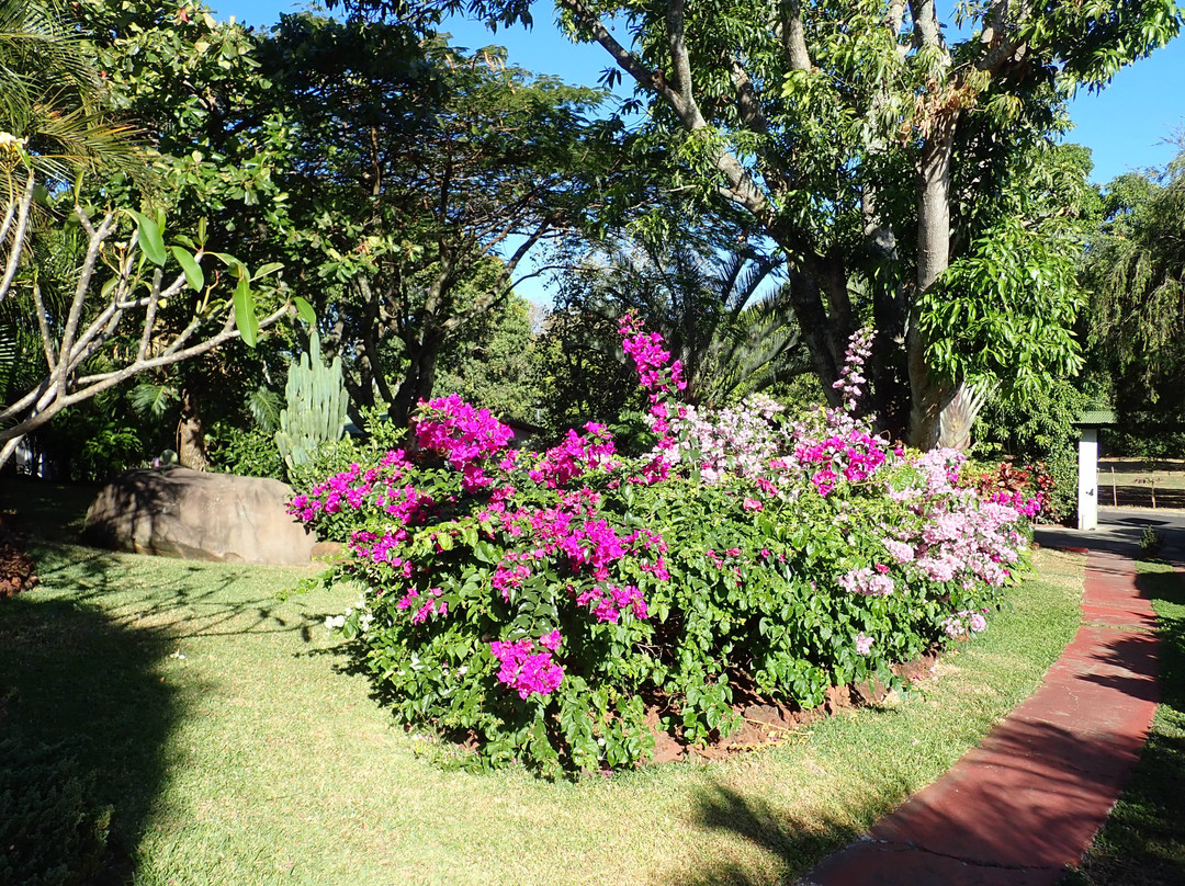 Hotel La Rosa de America主图
