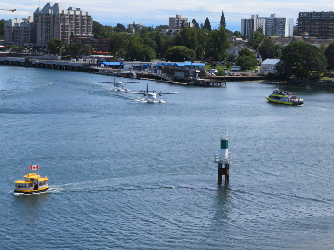Victoria Harbour Ferry景点图片