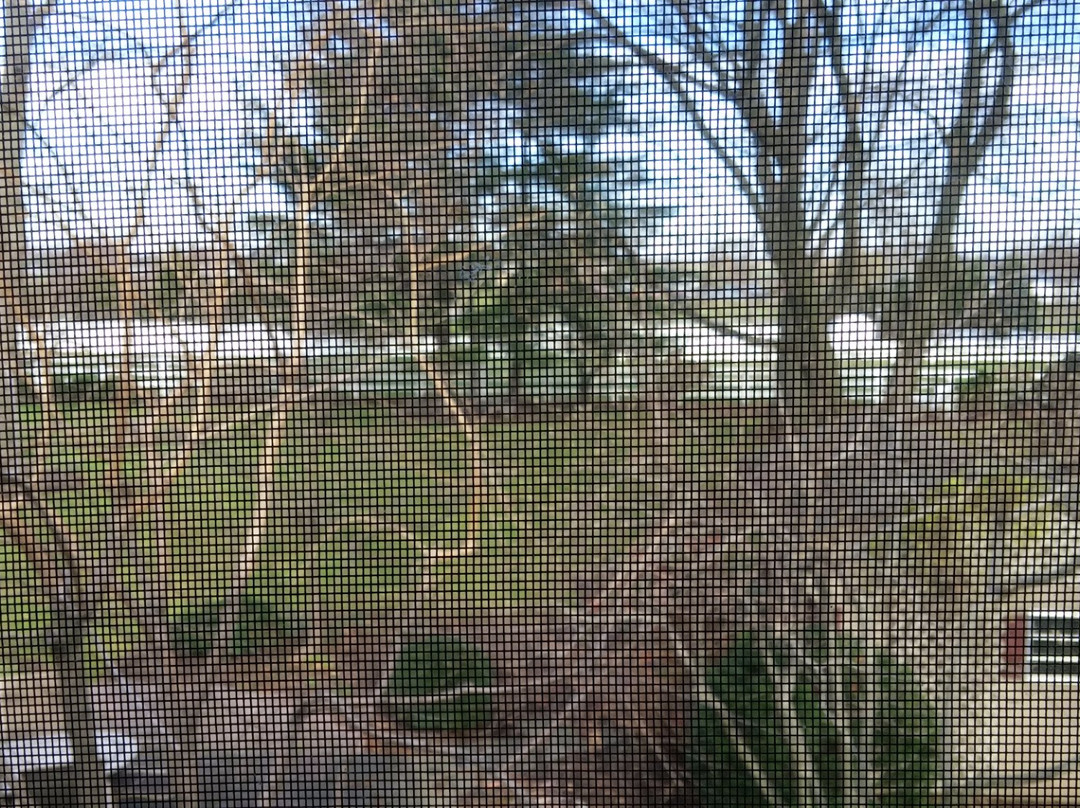 Old Road Guest Home主图