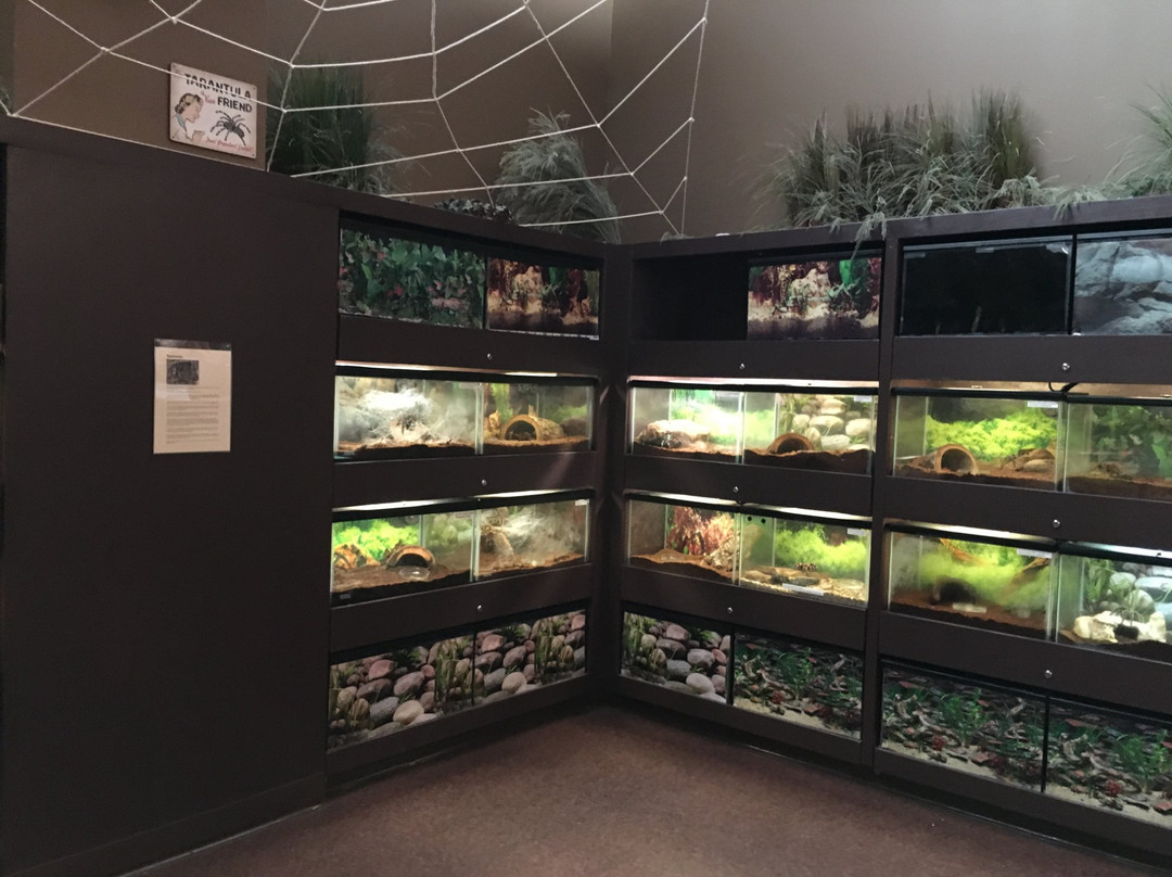 Insectropolis, the Bugseum of New Jersey景点图片