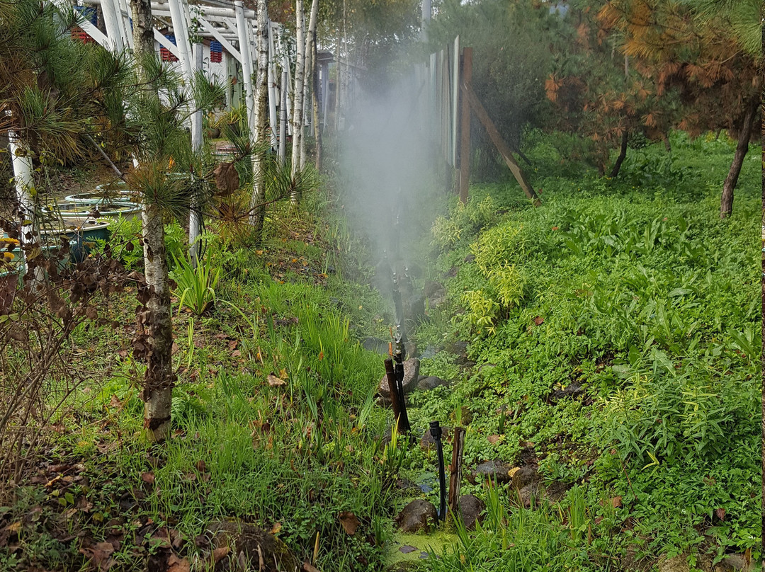 Wonju Herb Farm-龟尾市必去景点