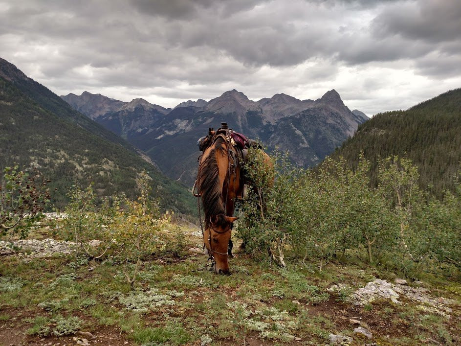 San Juan Sky Outfitters, LLC-杜兰戈必去景点