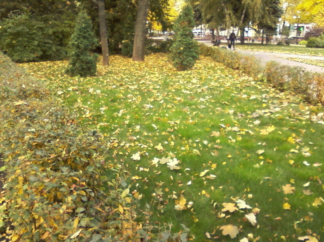 Koltsovskiy Park-沃罗涅什必去景点