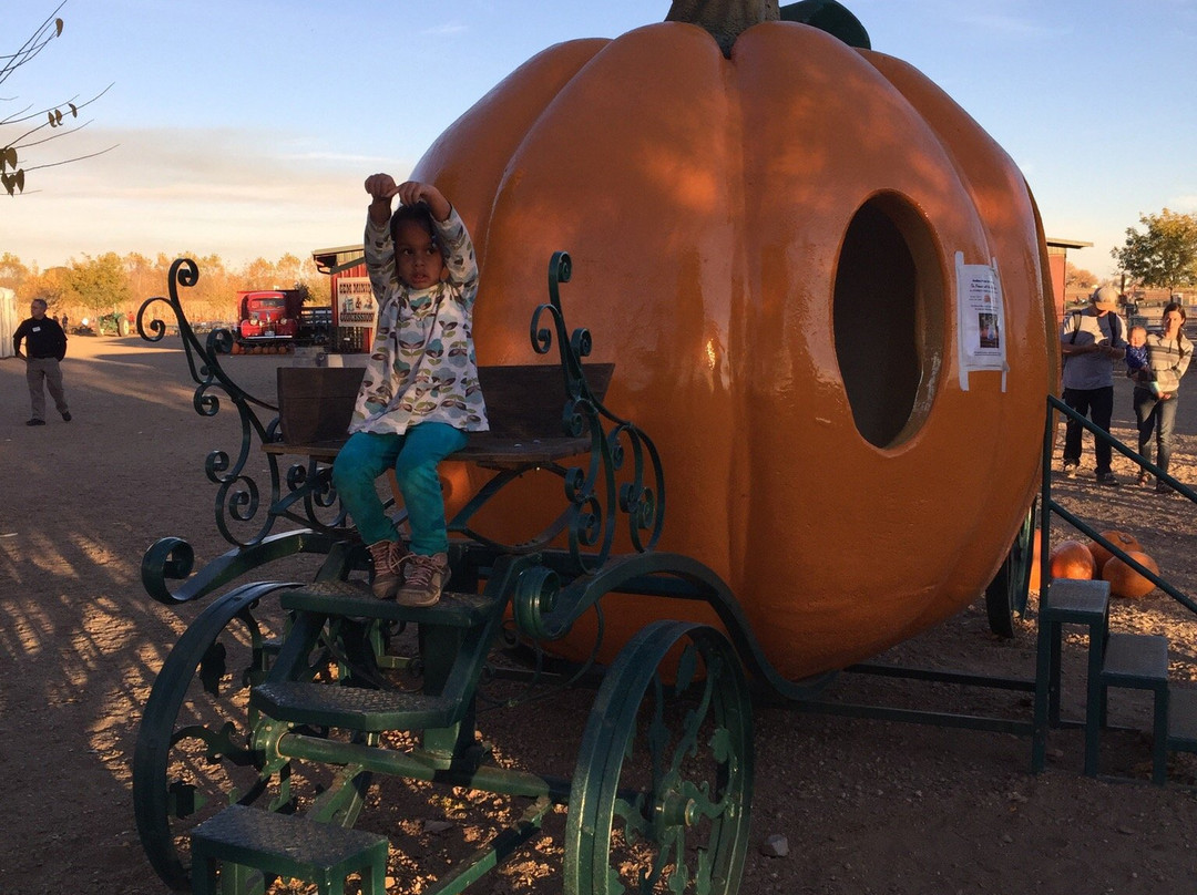 Anderson Farms-Erie必去景点