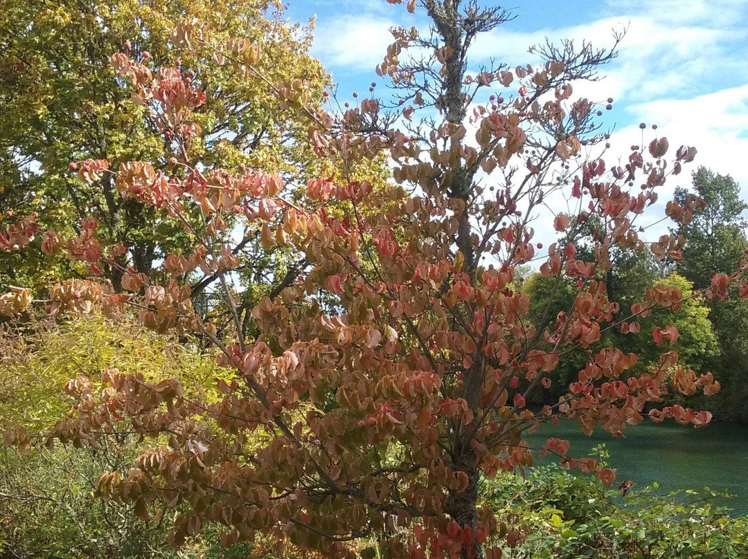 Riverfront Commemorative Park-科瓦利斯必去景点