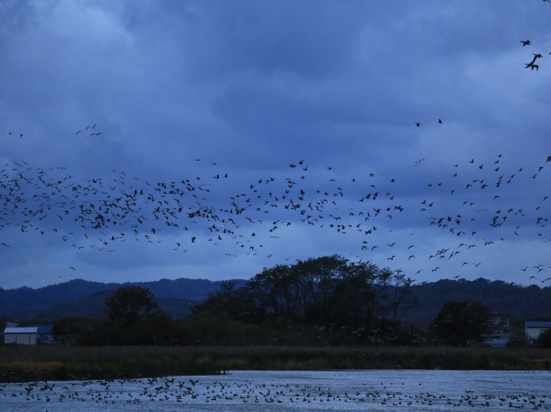 Miyajimanuma-美呗市必去景点
