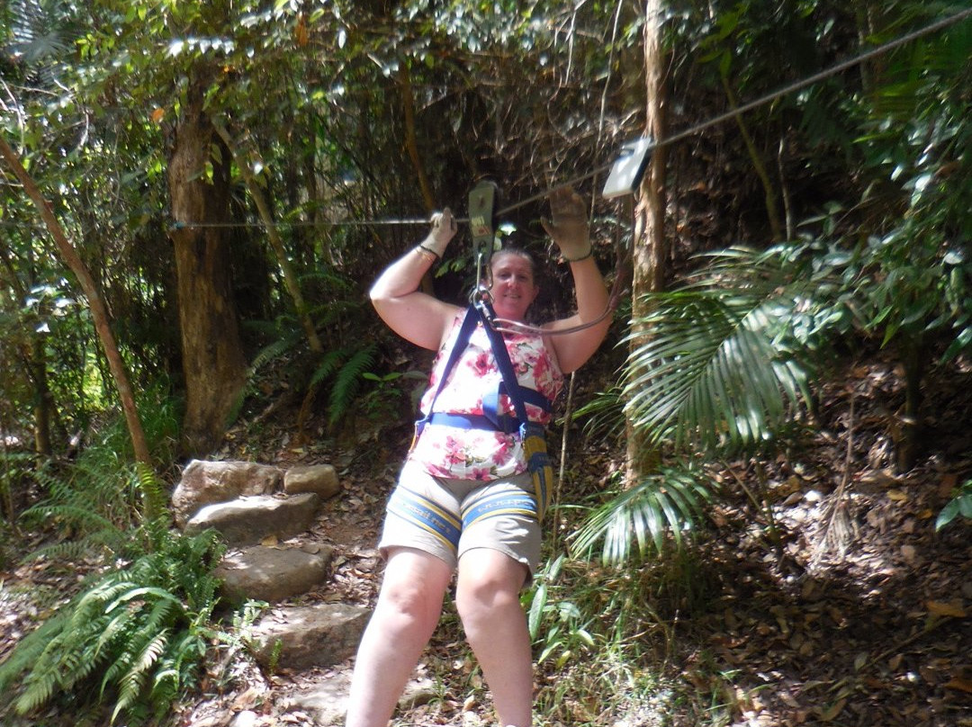 Forest Flying-Finch Hatton必去景点