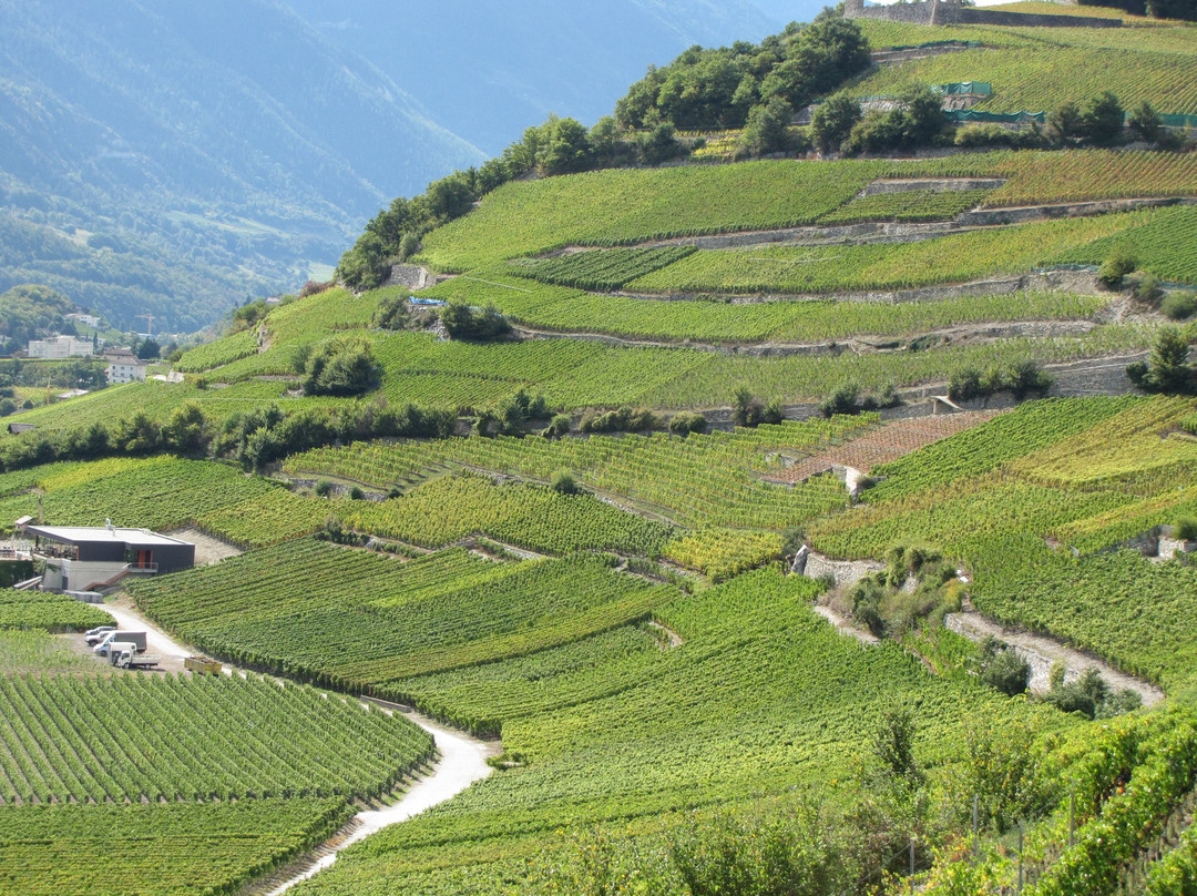 Vineyards Trail-谢尔必去景点