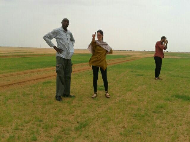 Sudan Art Diwan-喀土穆必去景点