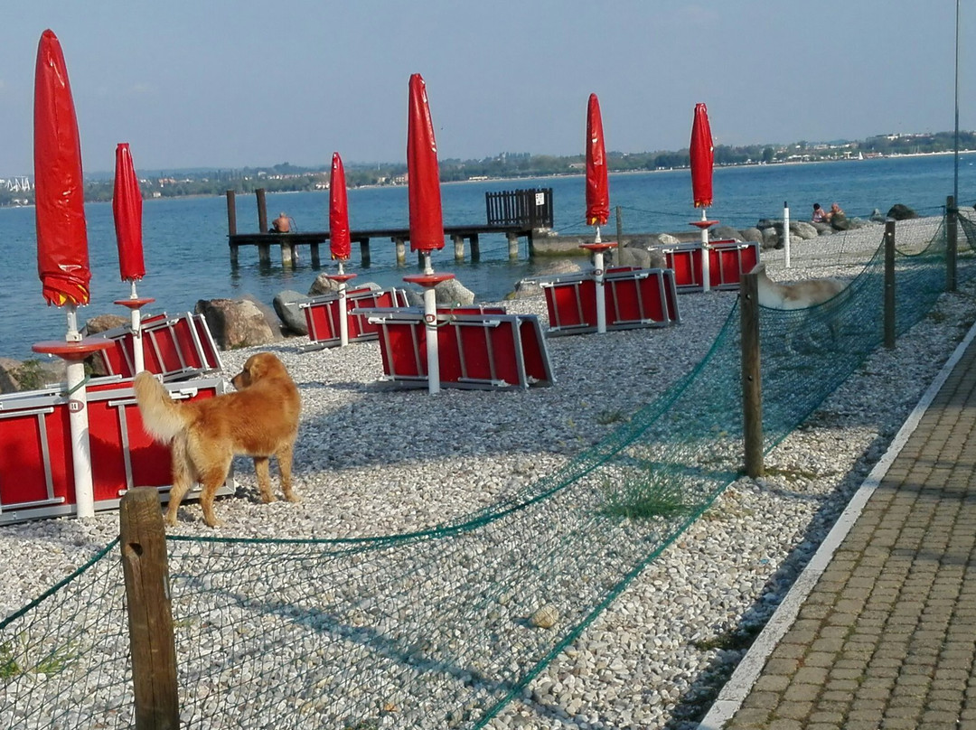 Spiaggia per Cani Doggie Beach di Caprera-Caprera必去景点