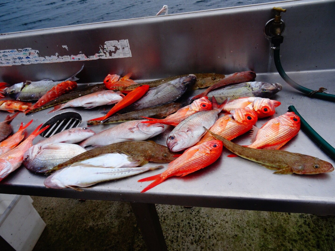 Narooma Fishing Charters景点图片