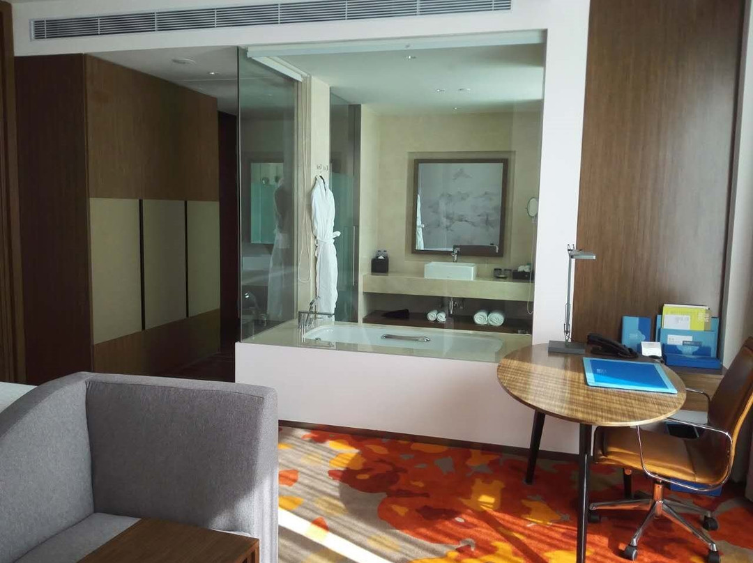 长春高新益田福朋喜来登酒店主图