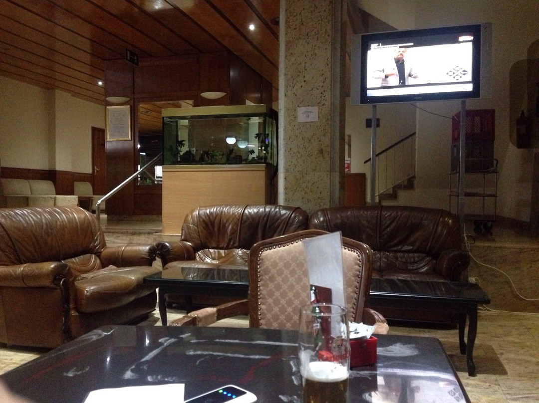 Toplice Hotel主图