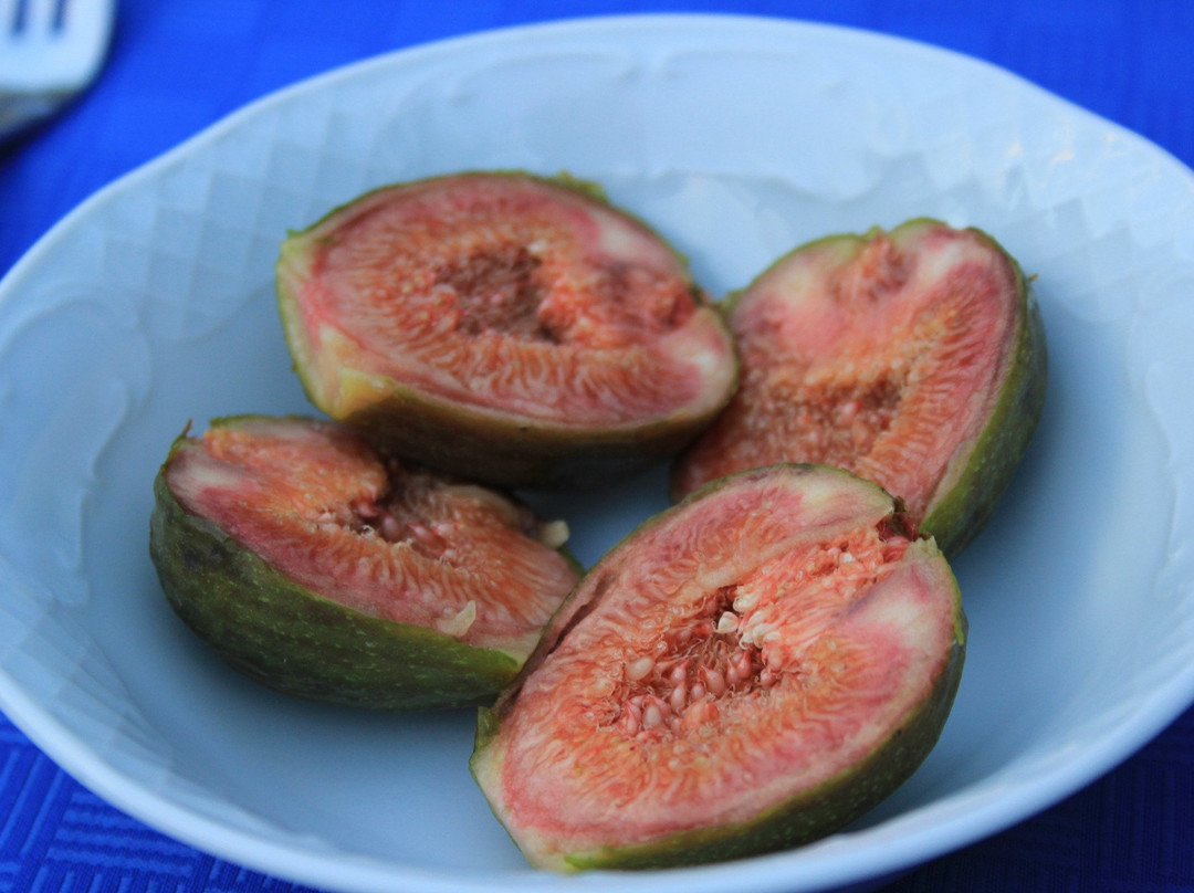 Hotel Restaurant Nienhaus主图